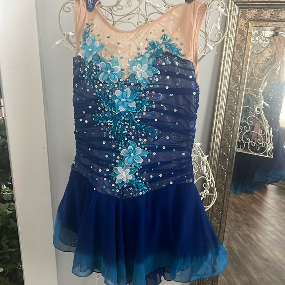 Figure skating hand beaded ombre blue dress